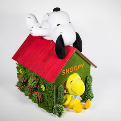 snoopy1