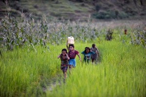 Young girls, one of whom carries a jerrycan filled with water atop her head, make their way home via a dusty path amid tall grass, in Achham District.  In August/September 2014, Nepal is nearing the conclusion of a UNICEF-supported national nutrition security programme  funded by the European Union (EU)  to permanently reduce the rates of under-five child and maternal under-nutrition. The programme is part of a four-year UNICEF/EU global initiative, with multiple regional, national and community partners. It focuses on four countries in sub-Saharan Africa and five in Asia but aims to influence nutrition-related policies throughout these regions. The Asia programme  Maternal and Young Child Nutrition Security Initiative in Asia (MYCNSIA)  focuses on Bangladesh, Indonesia, the Lao Peoples Democratic Republic, Nepal and the Philippines and is intended to directly benefit 30 million children and 5 million pregnant and lactating women. At the macro level, the programme builds policy capacity for nutrition security; institutional capacity; data and knowledge sharing; and the scale-up of nutrition interventions. At the national and district levels, it promotes government and community ownership of development processes, including training, mapping and the mobilization of intra-community networks, such as womens groups. And it utilizes a cross-sector approach, combining nutrition, health, water and sanitation, agriculture and social protection interventions to maximize the positive effects on child and maternal nutrition. The goal is generational change in both institutional and individual beliefs and actions on nutrition  contributing, as well, to the achievement of the United Nations Millennium Development Goals (MDGs).