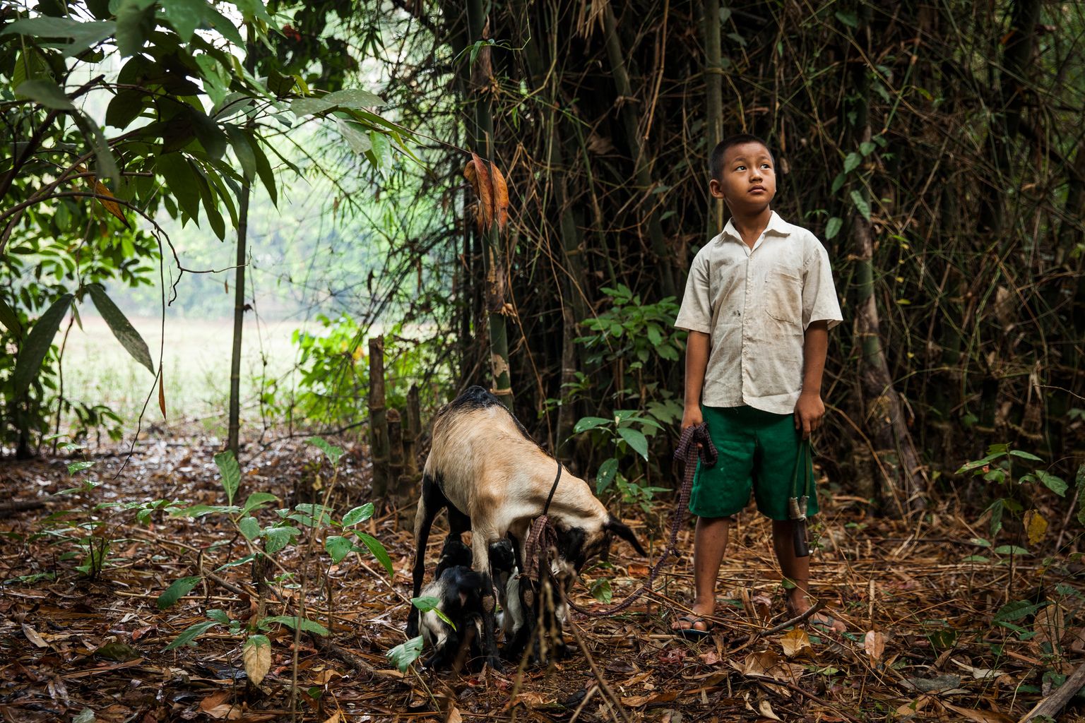 Saw Ba Sun, 9, the son of a pastor at the village church, was injured by unexploded ordnance two-years ago in Ann Ka Law village, Kyin State in Myanmar, Monday 3 April 2017. It felt heavy  and the metal was hot, recalled nine year old Saw Ba Sun, of the metallic object he picked up. With a sheepish look, he added: Somehow, I knew it was dangerous. As Saw Ba hesitated, another boy, So Aung Myo Win, snatched the metal thing out of his hand. As he raised his throwing arm, the device exploded, killing him instantly and injuring four others, including Saw Ba. More than two years on, memories of the accident are still fresh in this remote, rural corner of south-east Myanmar. Locals point out the unmarked spot, no more than 200 metres from the school, where they found the body of So Aung, and another injured seven year old, Aung Min, who died shortly after reaching the local hospital. When Saw Ba Suns father, Tar Leu, heard the explosion, his first thought was that Kayins long-running armed conflict had once more descended on the village. His next fearful thought was for his wife and two sons. Mr Leu, 43, is the pastor at the village church. He and his family returned to Myanmar in 2012, after spending years living in a refugee camp across the nearby border with Thailand. My mother encouraged me to come back here, said Tar Leu. We thought it was safe, but it wasnt. Time and again, forces of the Myanmar Army and Democratic Karen Buddhist Army (DKBA) sweep through the tiny community of 60 households, which lies in a contested area of Kayin state. Each time, terrified families hide in crude shelters that they have dug under each house. The unexploded grenade that led to the accident was probably left from clashes that had erupted weeks earlier. Conflict has long shaped the lives of people living in this region. Recurrent fighting between government forces and a range of Ethnic Armed Organisations (EAOs) has repeatedly displaced